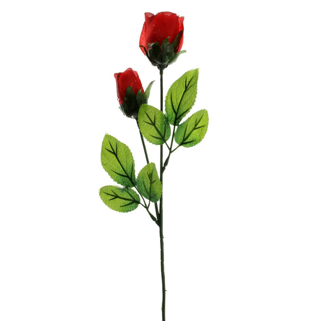 10262922.jpg img